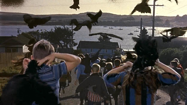 『ザ・バーズ』で鳥が子供たちを襲う