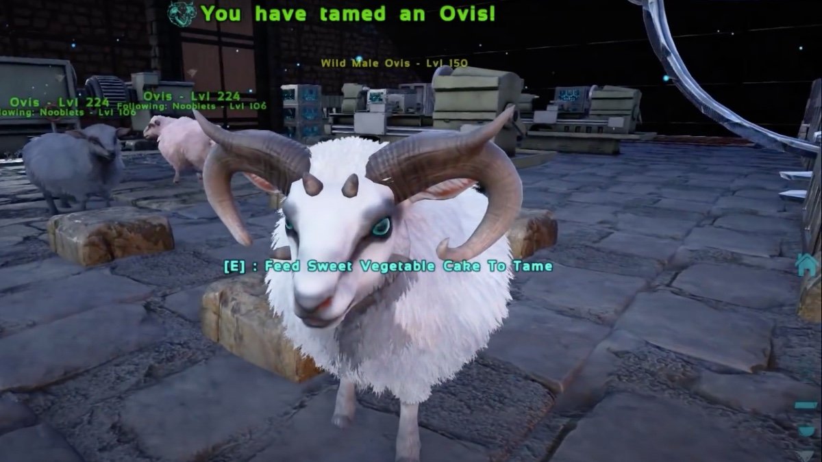 Ovis z ARK Survival Evolved