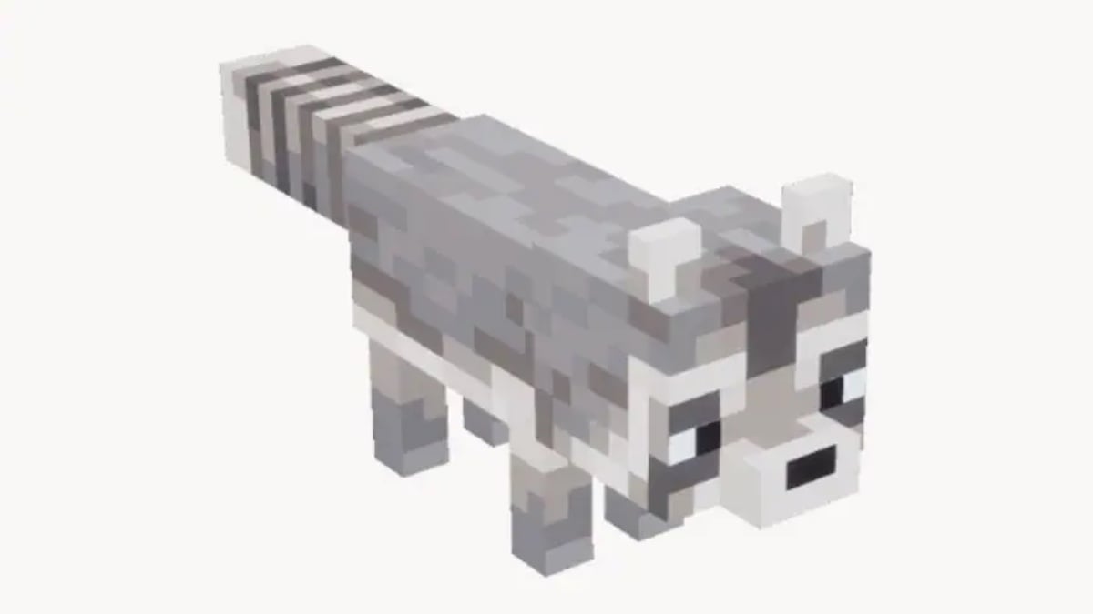 Vaskebjørn fra Minecraft.