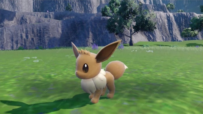 How-to-Get-Eevee-Pokemon-Scarlet-and-Purple