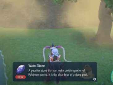 Pokemon Scarlet and Violet Water Stones