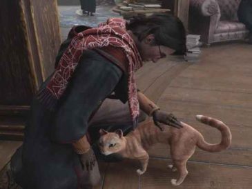 Petting cats in Hogwarts Legacy