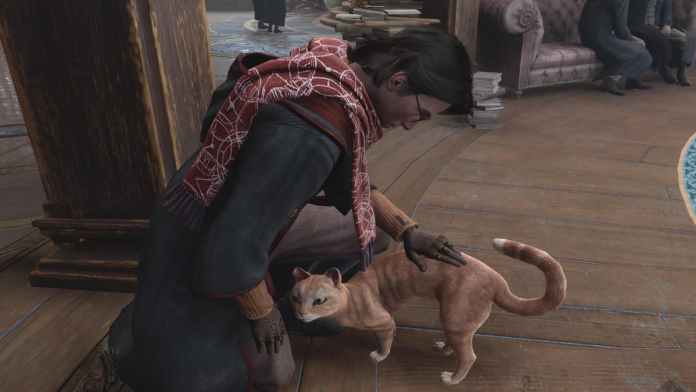Petting cats in Hogwarts Legacy