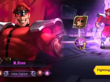Bison Street Fighter Duel