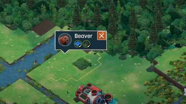 Beaver in Terra Nil