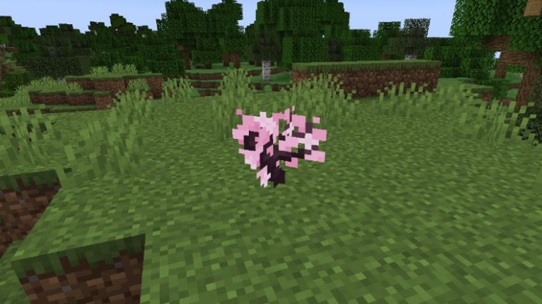 Comment Faire Pousser Un Cerisier Dans Minecraft