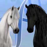 Equestrian the Game Potential – Comment cela fonctionne-t-il ?
